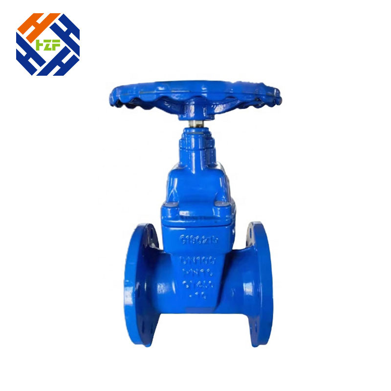 ANSI PN16 80mm 100mm 200mm Cast Iron Flanged Type Gate Valve